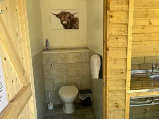 Spick and span toilets