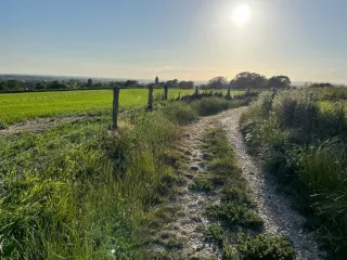 Local walk