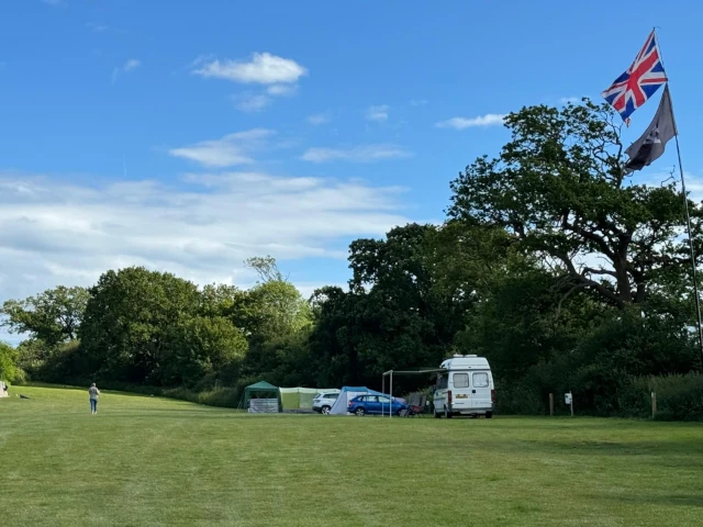 Cub Field 2