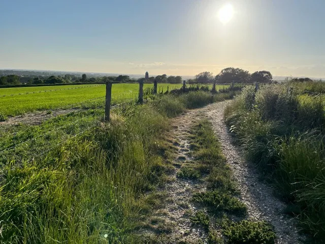 Local walk