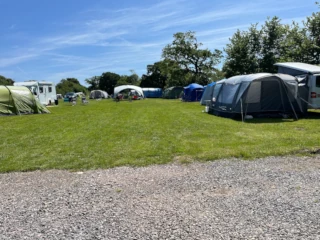 Cub Field 1
