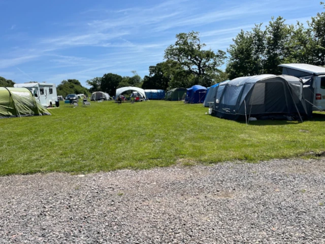 Cub Field 1